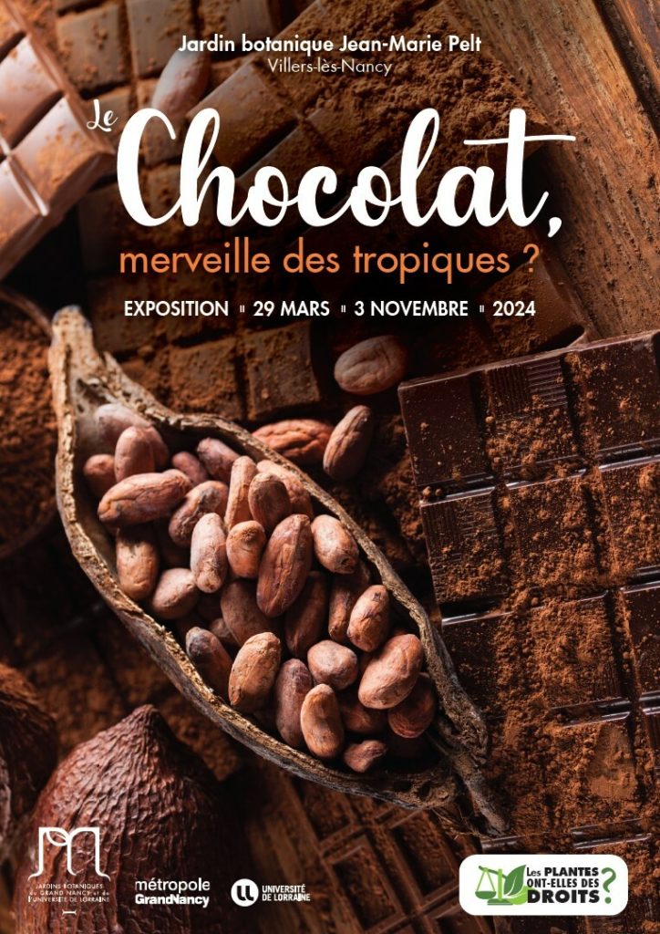 Exposition chocolat