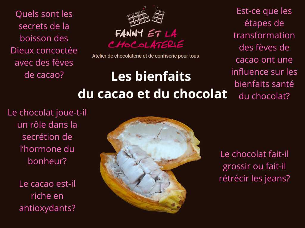 Conférence chocolat